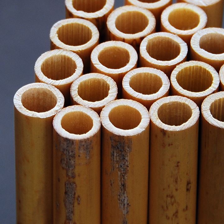 West Double Reed Company Alliaud oboe tube cane